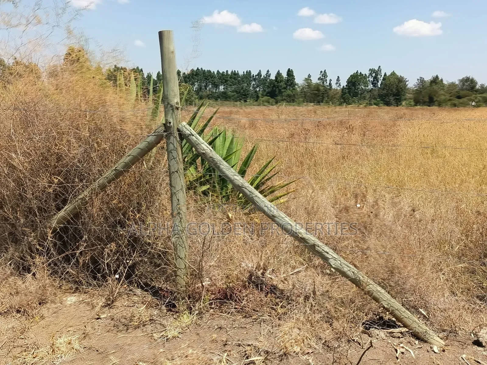3.5 Acres on Sale Nanyuki [ Mirera ]