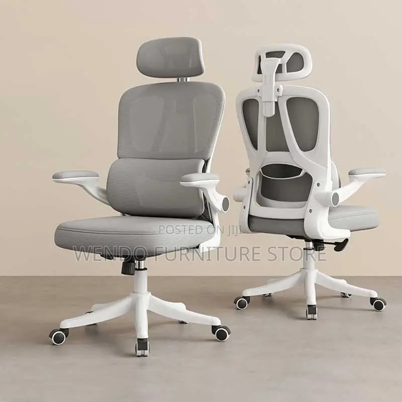 Office Chairs; Orthopedic High Back Lemare Executive Office Chairs