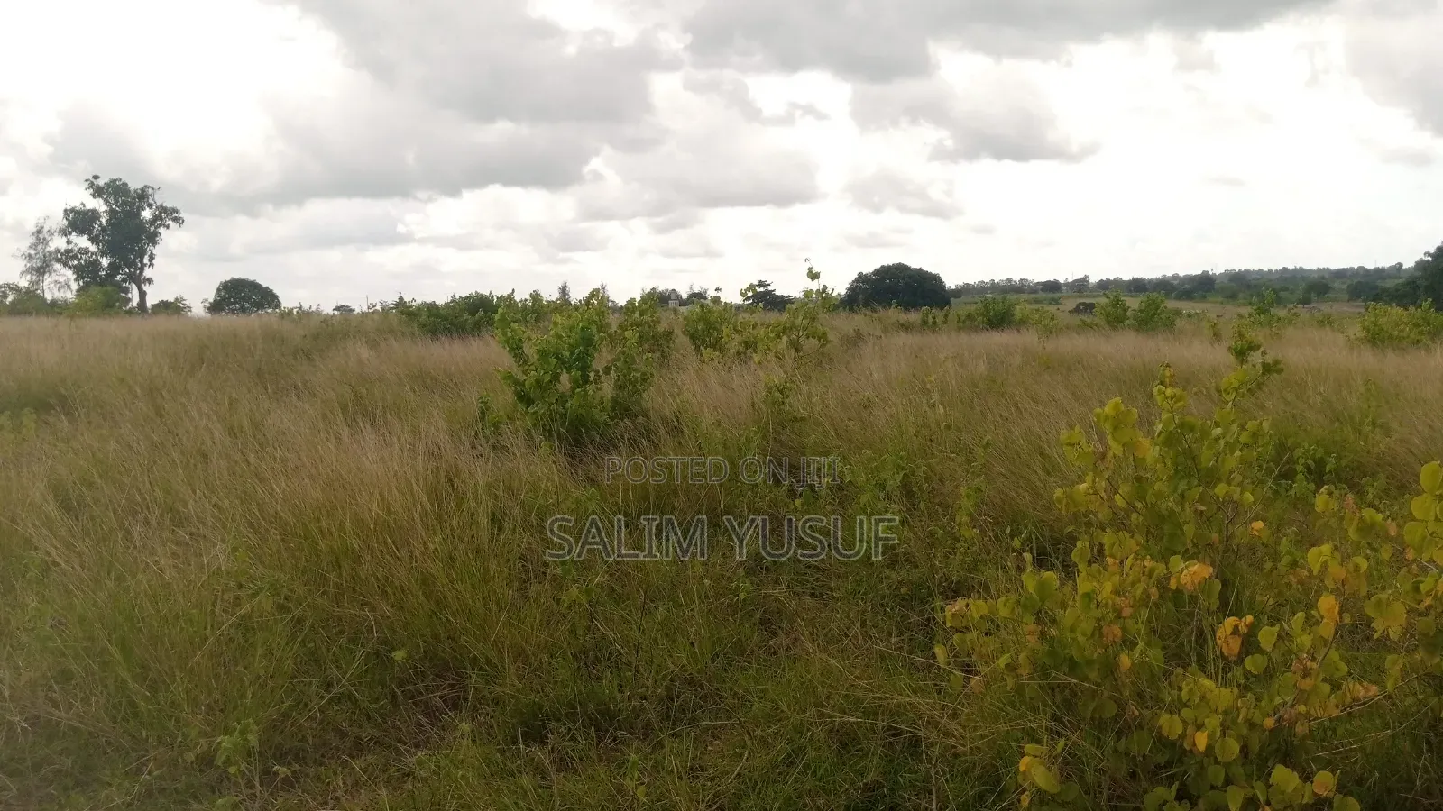 Land on Sale Kundutsi Kwale Count 17acre 1m Per Acre