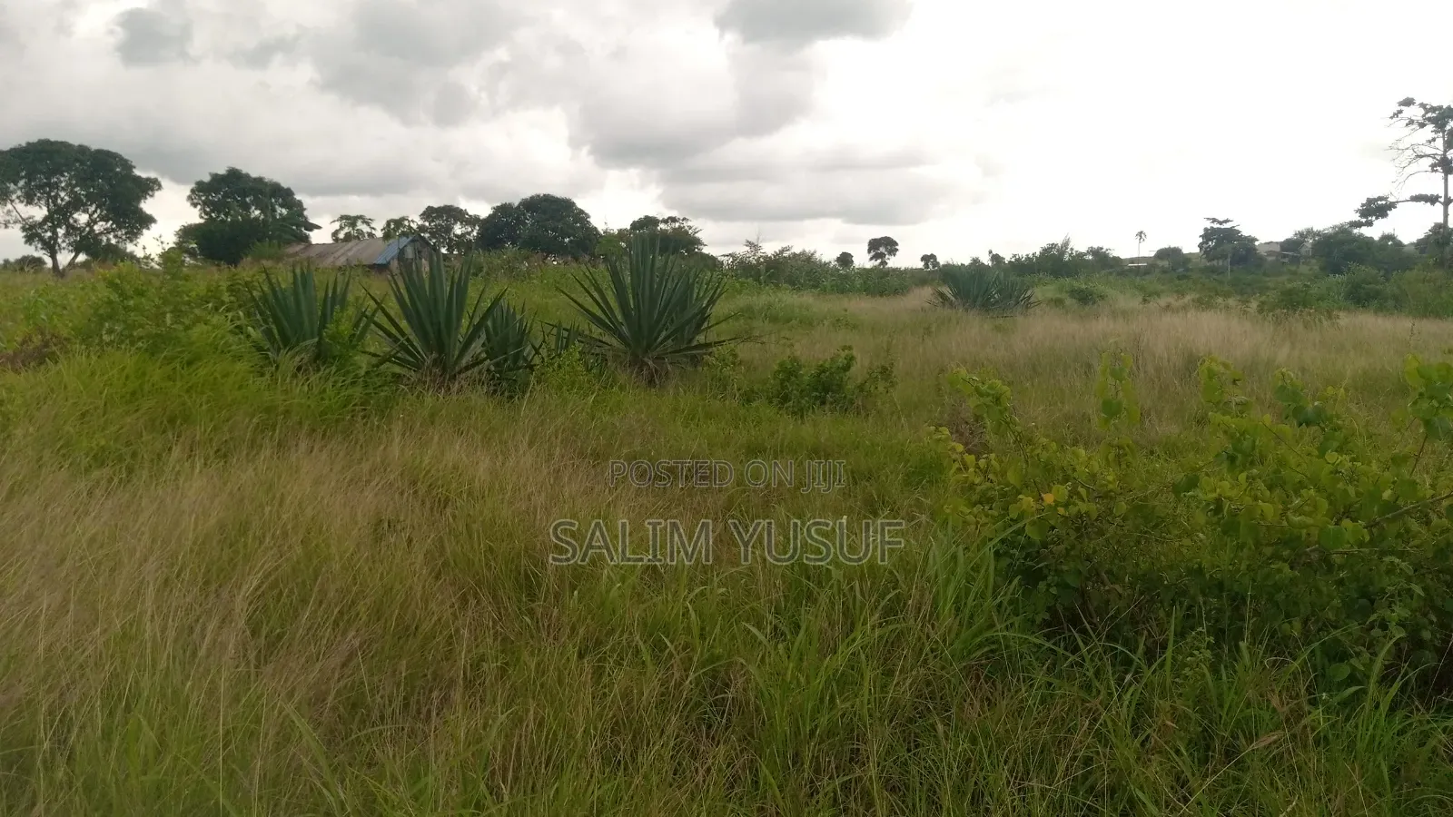 Land on Sale Kundutsi Kwale Count 17acre 1m Per Acre