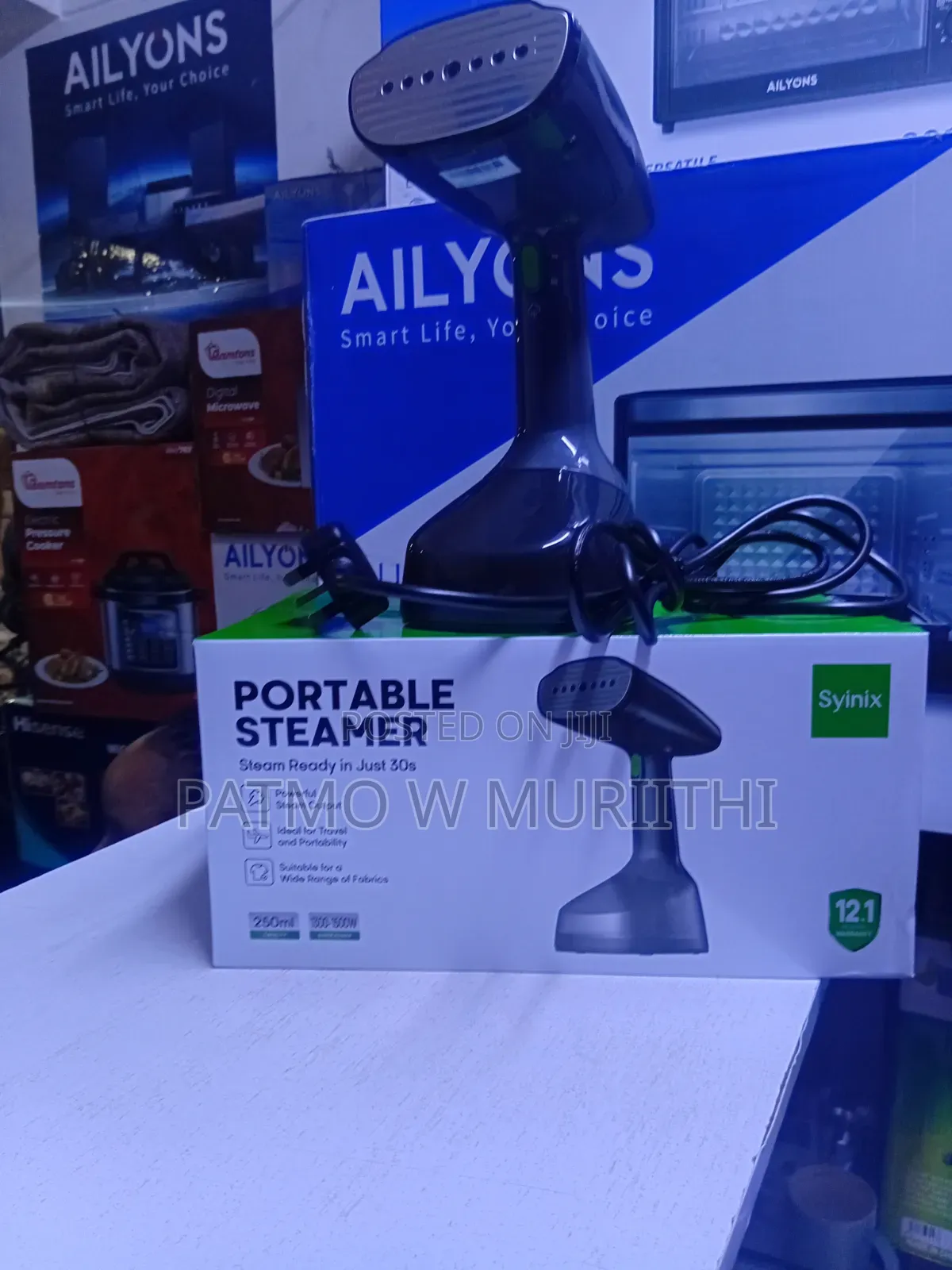 Portable Steamer 250ml 1500 Watts