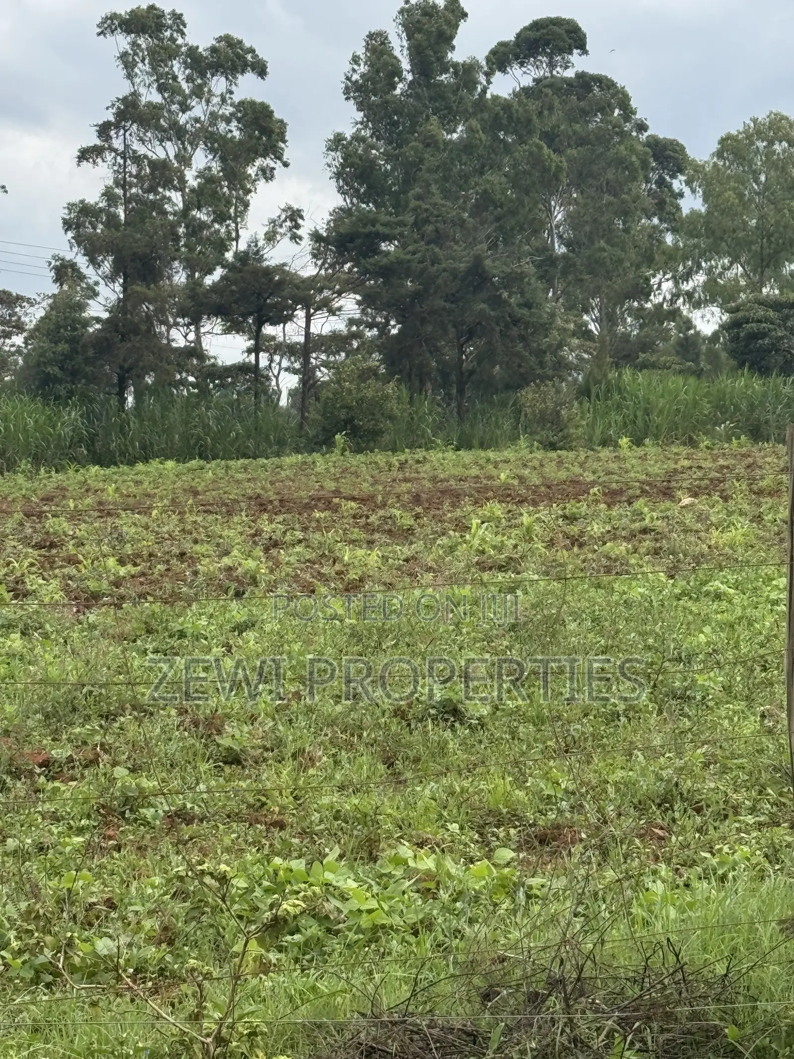 Prime Half Acre Nkoroi