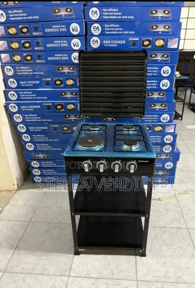 Electromate 3+1 Standing Cooker