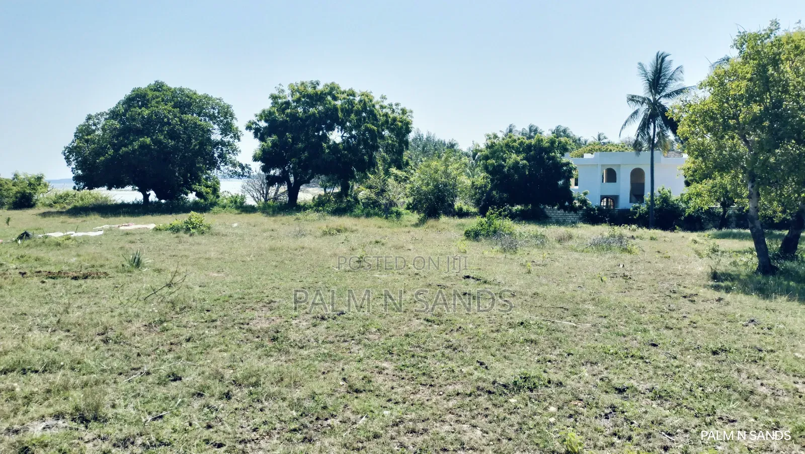 Exclusive Beachfront Plot for Sale in Msambweni –South Coast Gem
