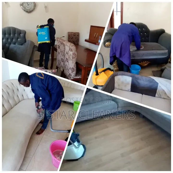 Spotless Pest-Free Home- Professional Fumigation and Cleaning