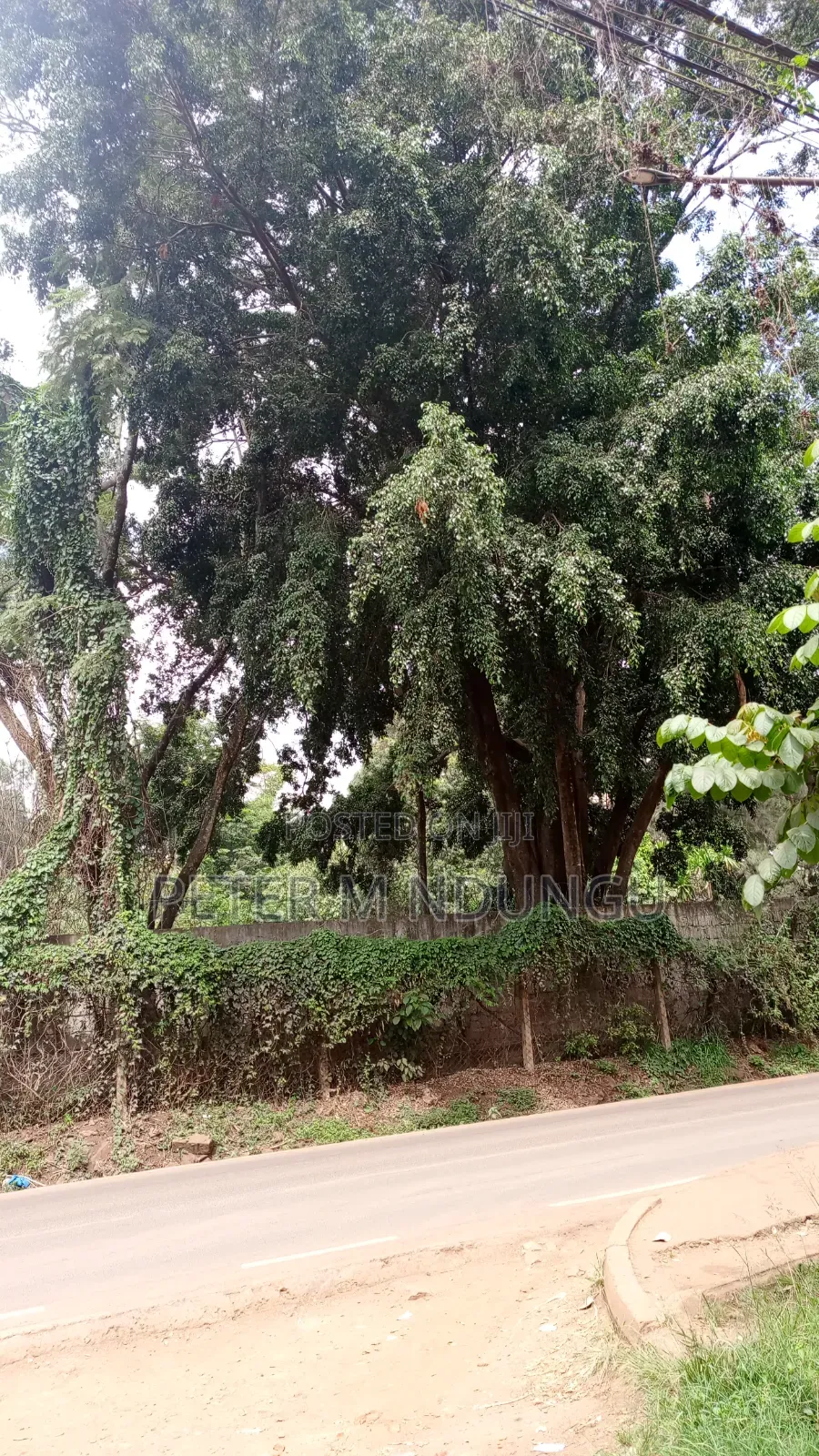 Kasarani- Safari Park, Prime Commercial 5 Acres on Sale