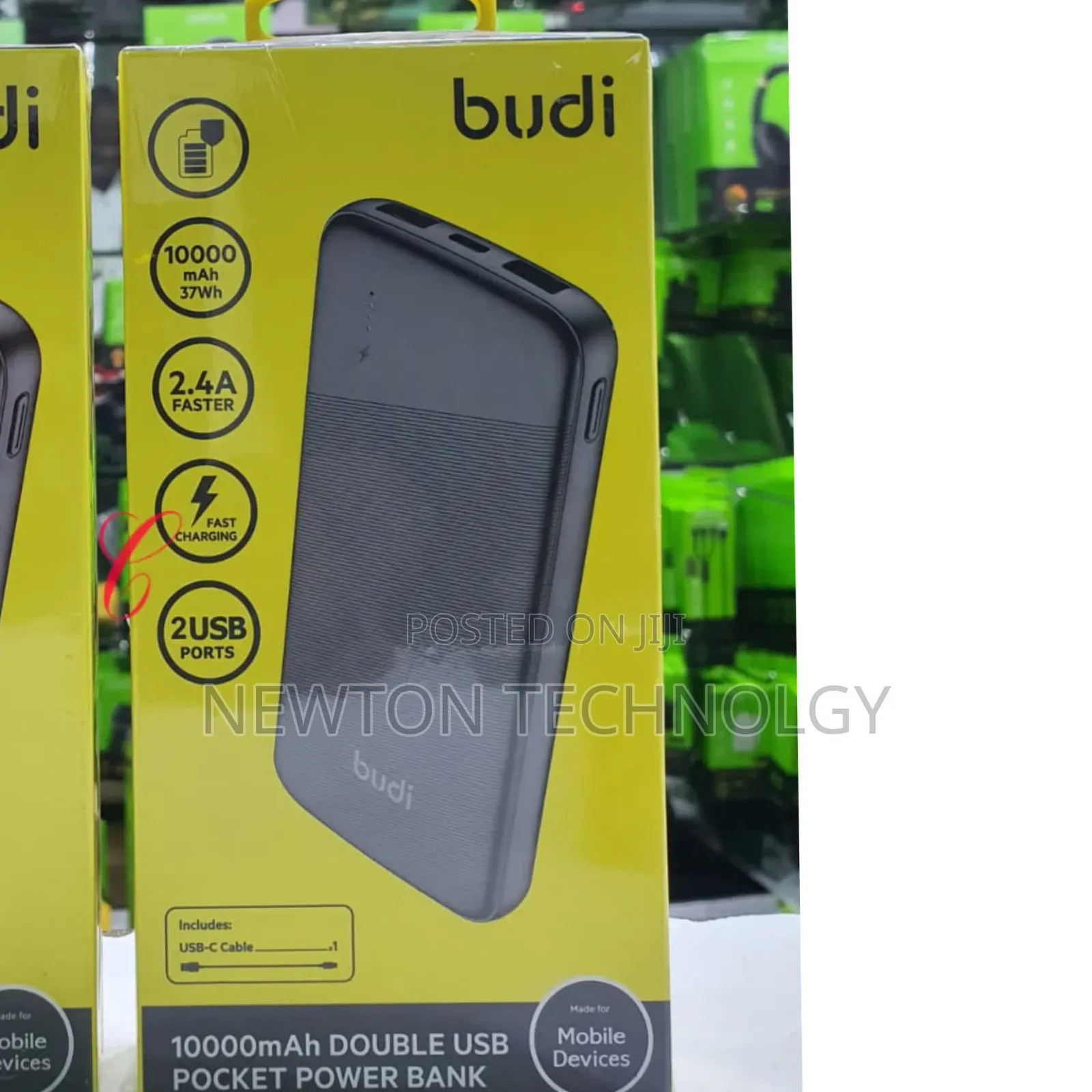 Budi Pb090b *10000mah* Double Usb Picket Power Bank