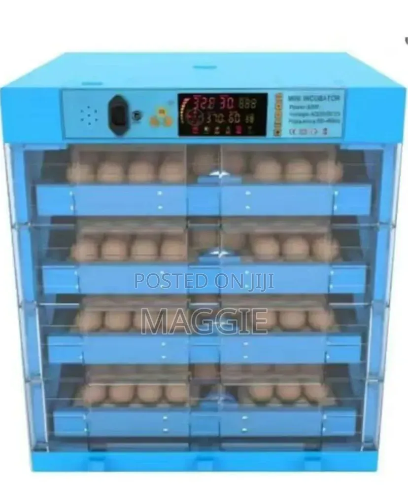 256 Eggs Incubator