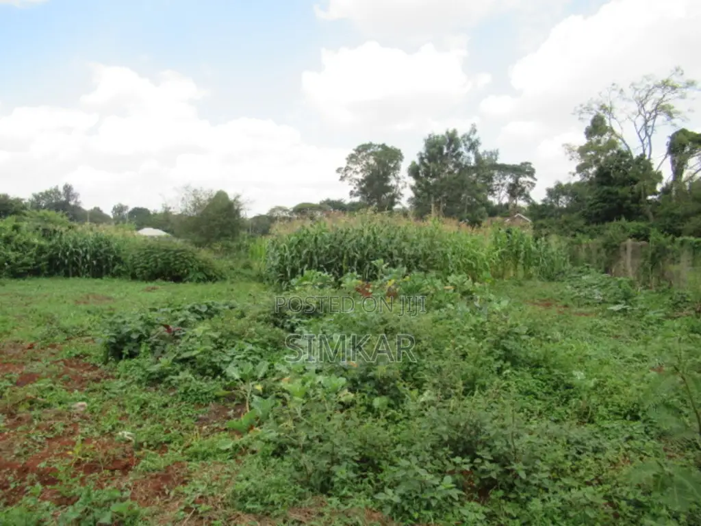 0.365-Acre Plot for Sale in Mushroom Gardens Estate