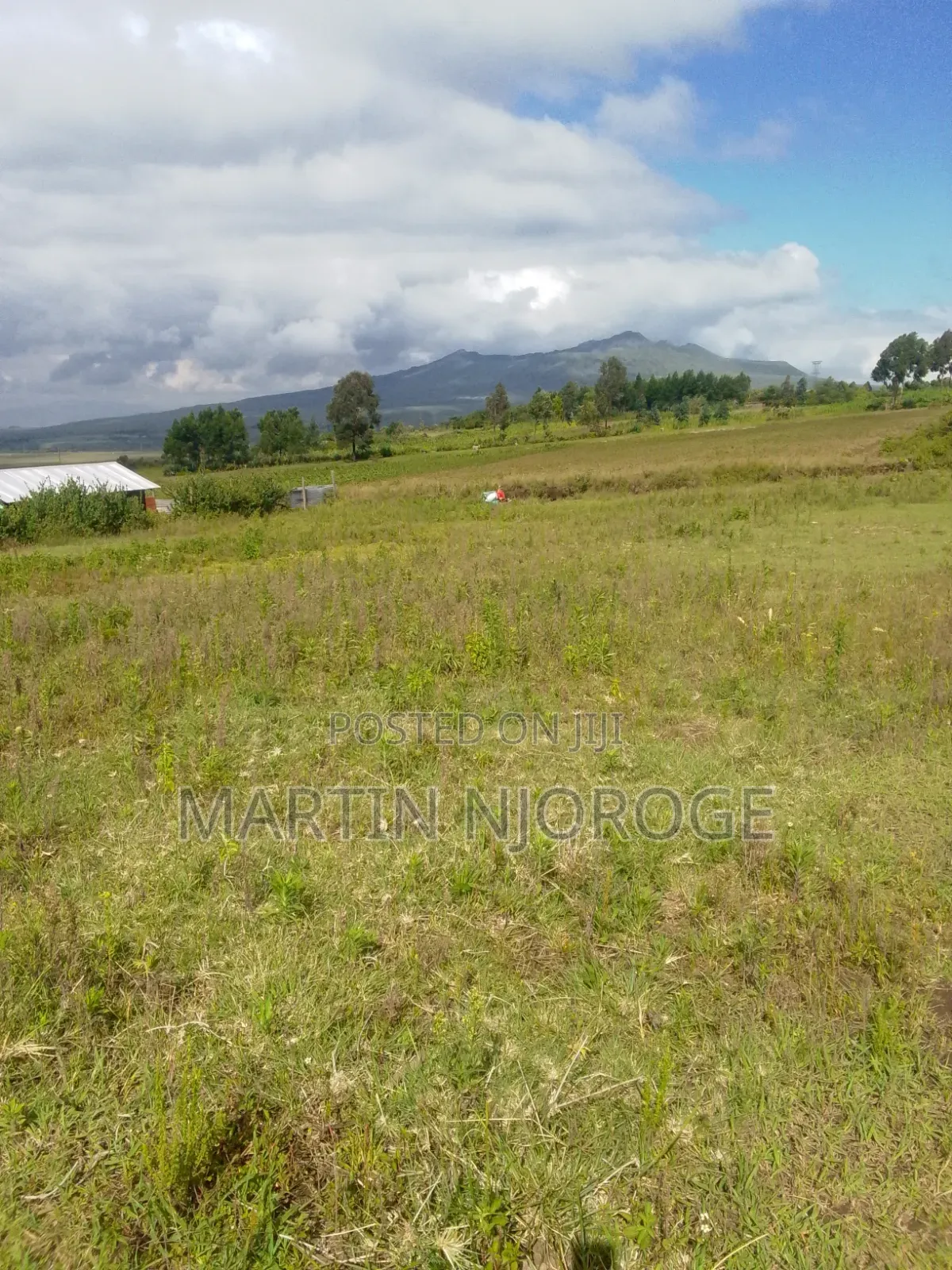 50 by 100 Longonot