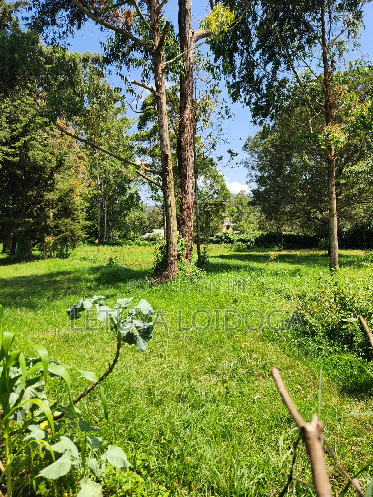 Prime 3 Acres Ngong-Kahara