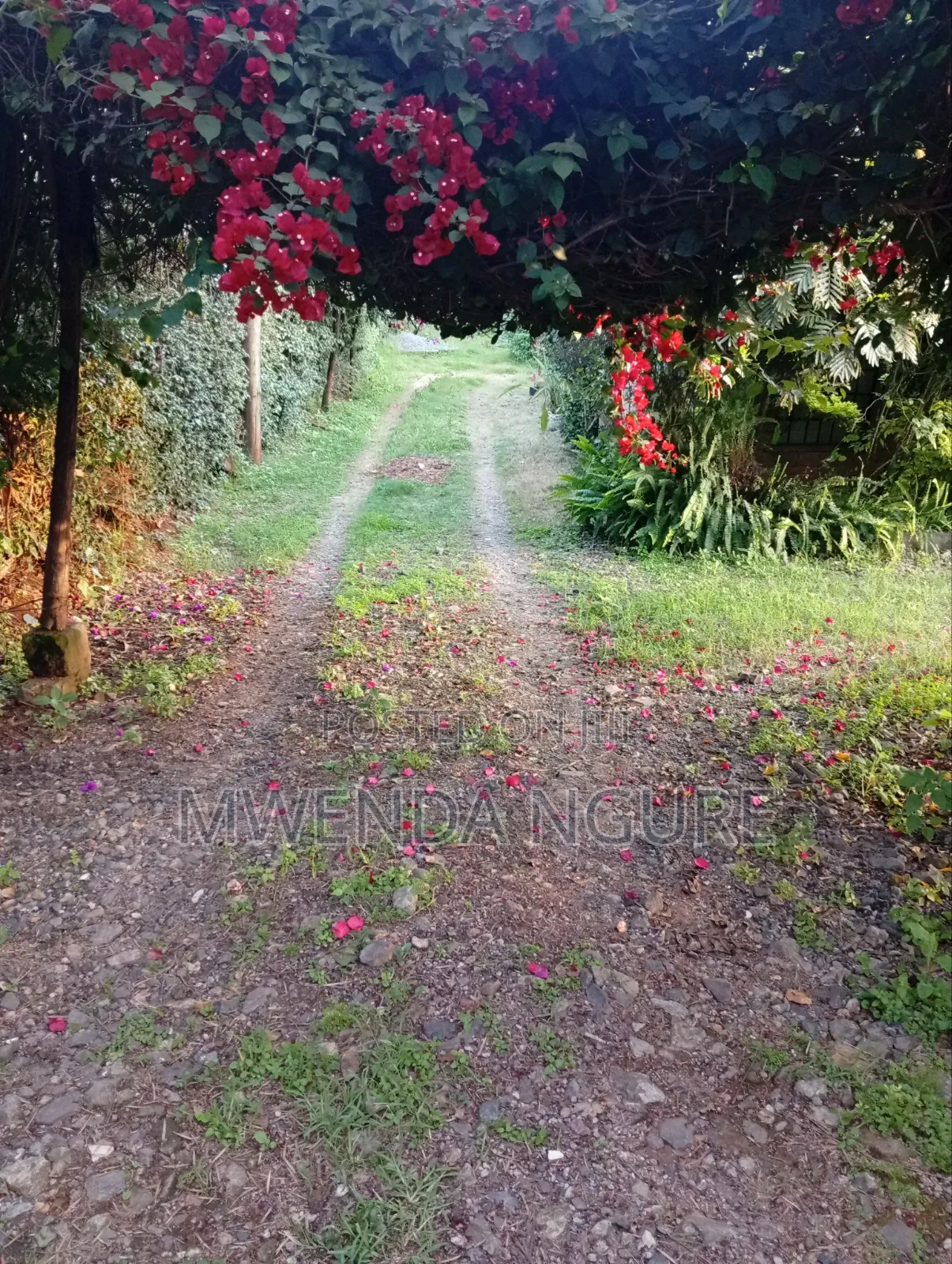 Prime Plot for Sale in Kikuyu