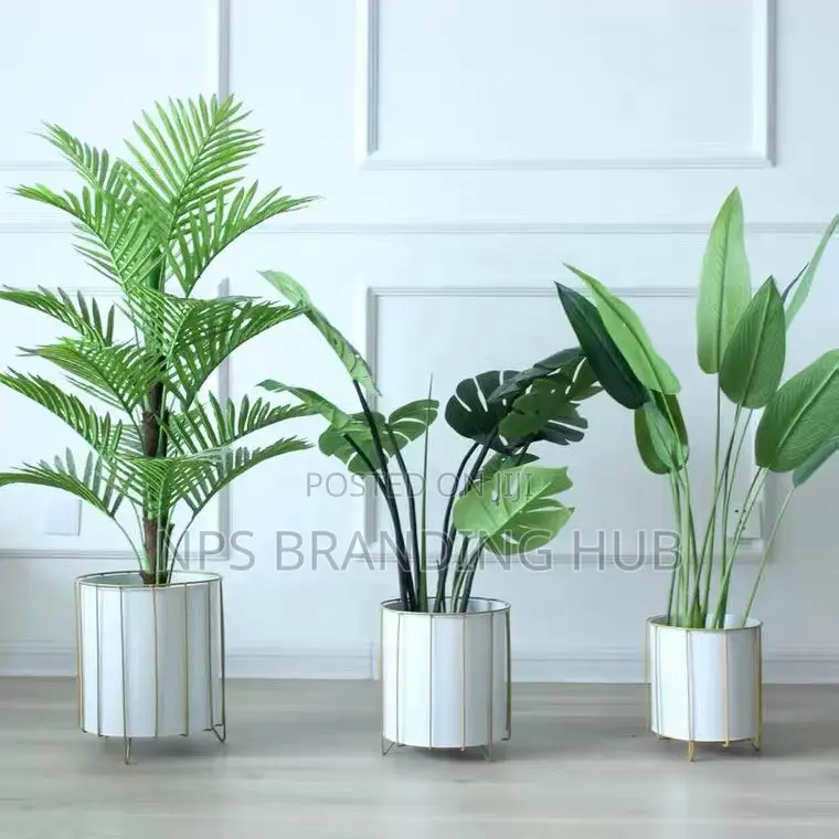 3pcs Flower Pot Tet
