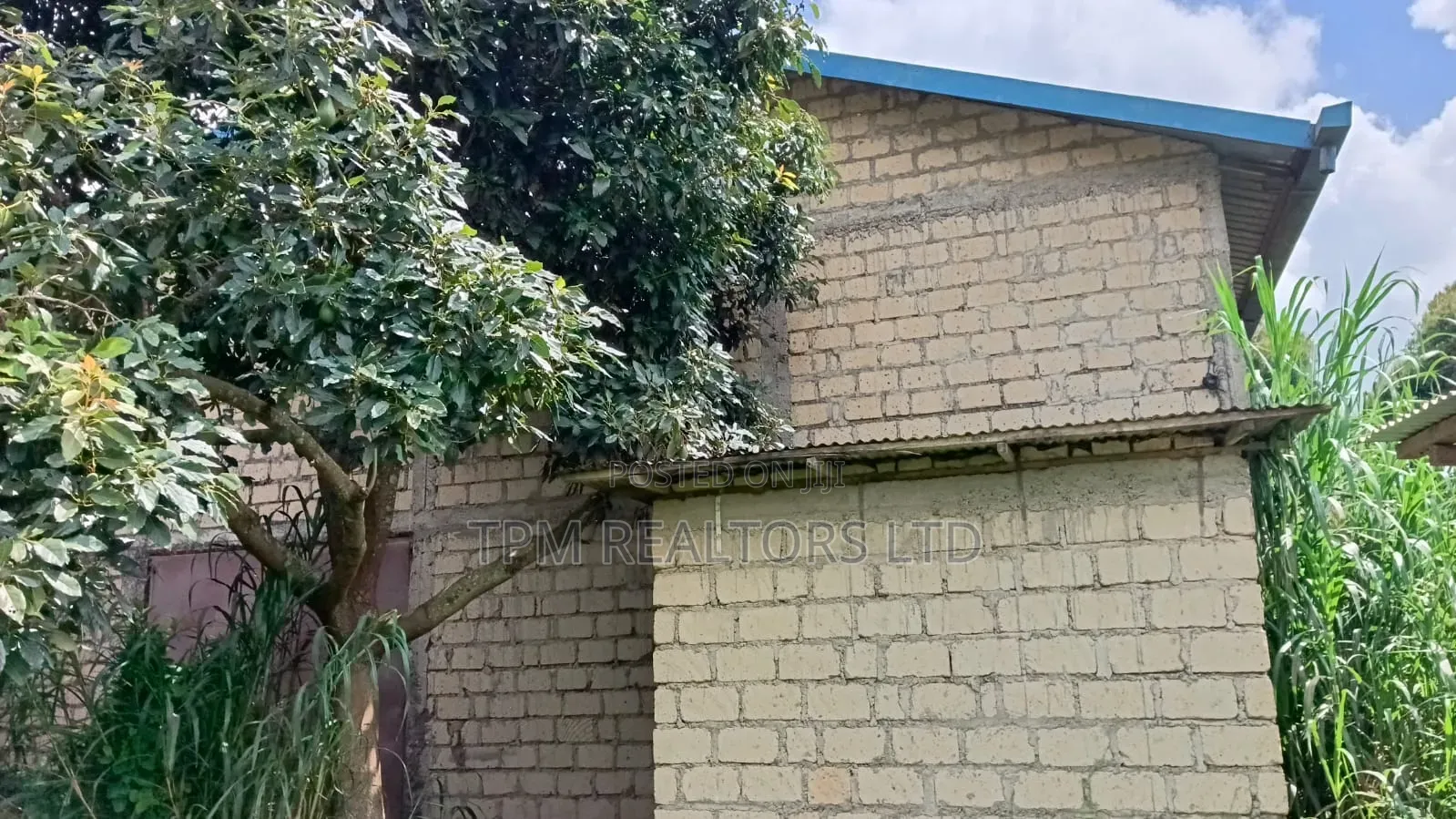Godown for Sale in Sigona Kikuyu