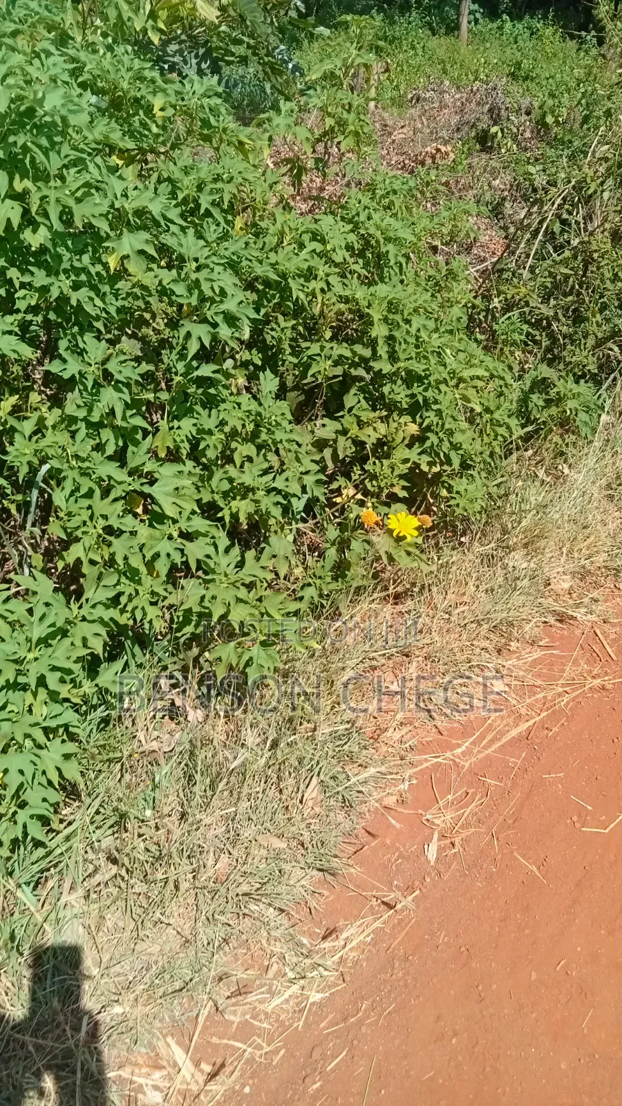 1.5acre Land in Mirira Murang'a County