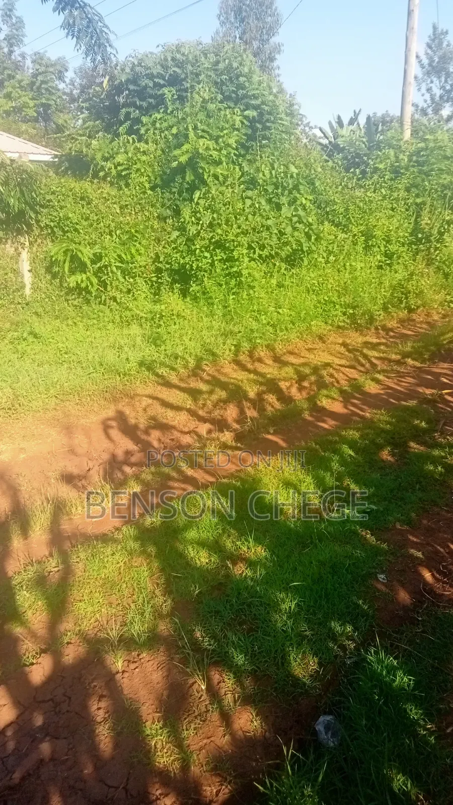 100by100 Plot for Sale in Maragua