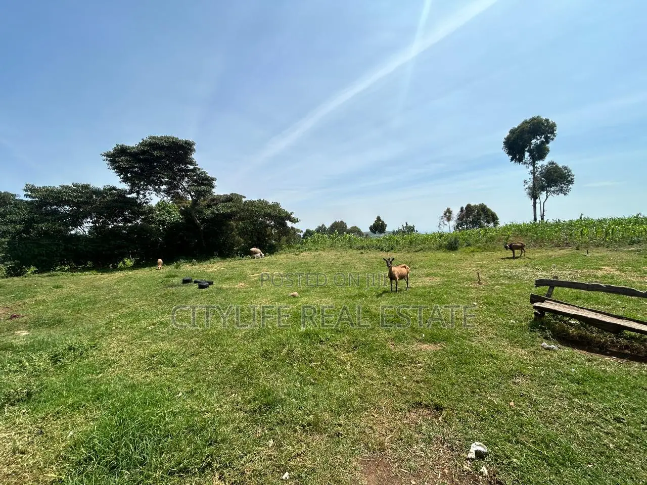Subukia 6 Acres With a Charming Colonial Villa for Sale