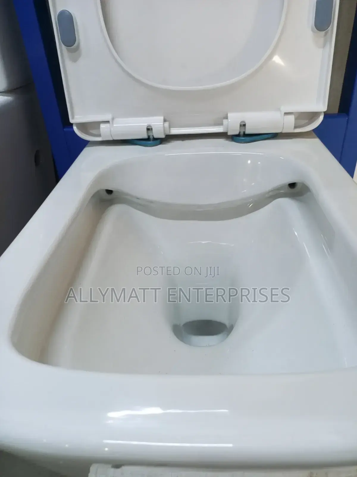 Complete Concealed Toilet