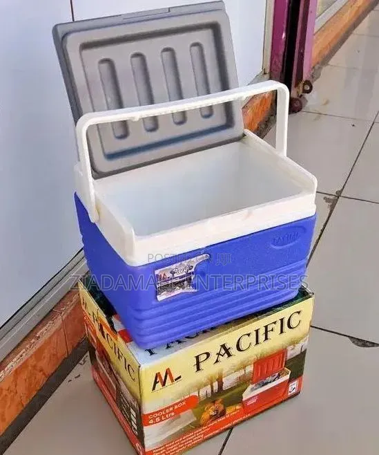 Cooler Box 4.5 Litres Compact Cooling Power for Everyday Adventures