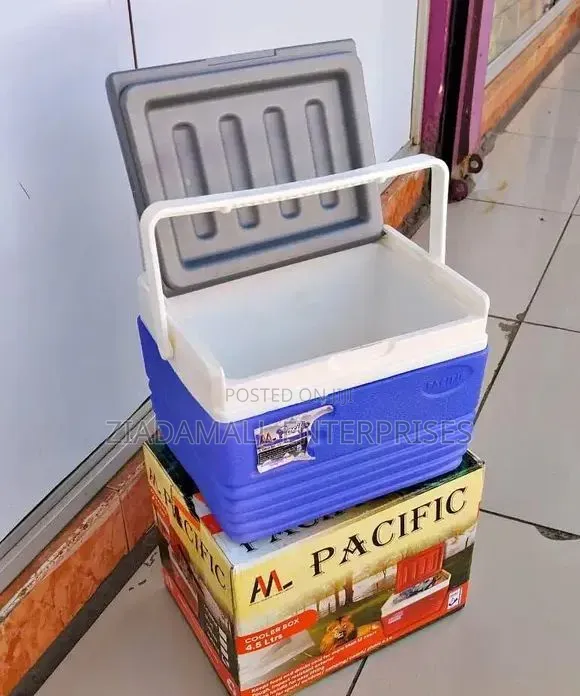 Cooler Box 4.5 Litres Portable 4.5l Cooler Bag Built for Convenience