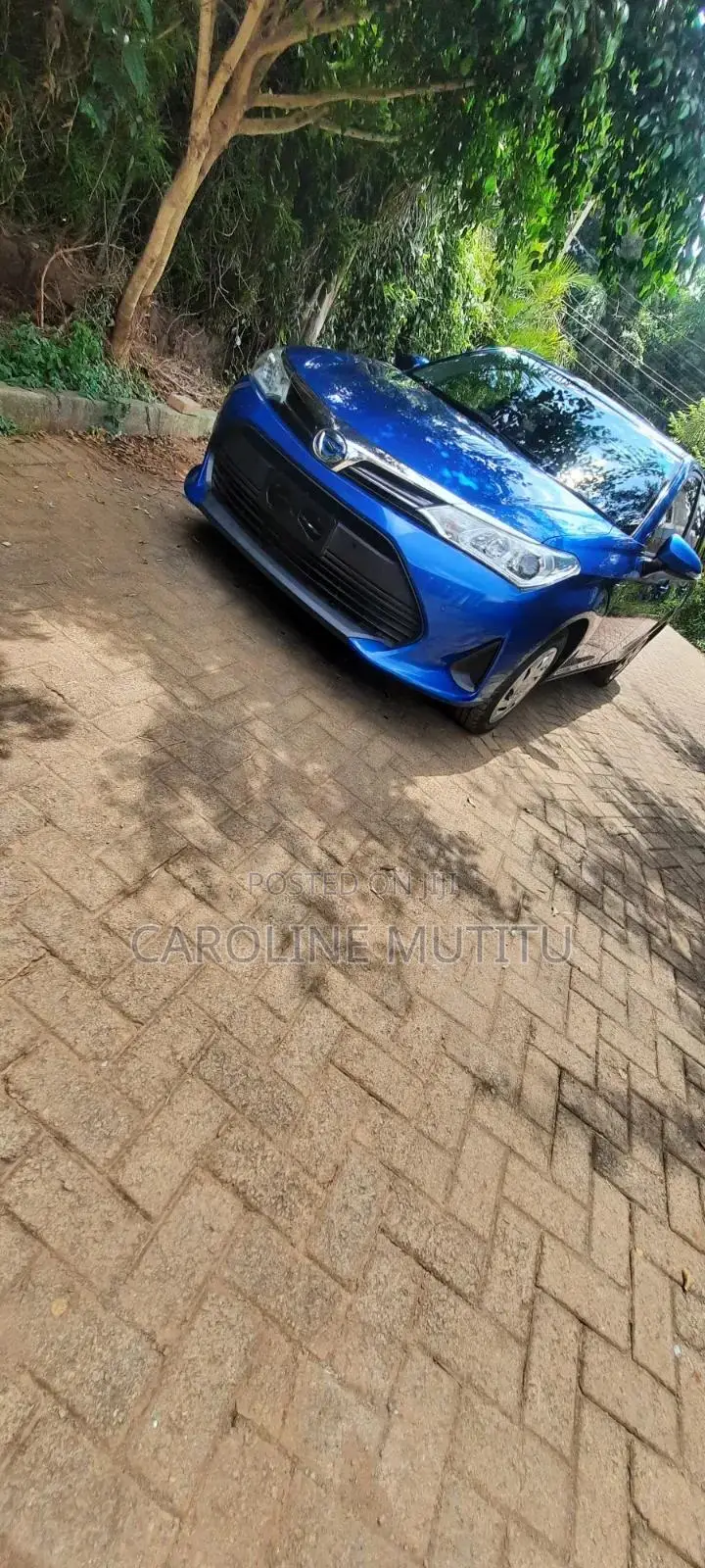Toyota Corolla Fielder 2019 Blue