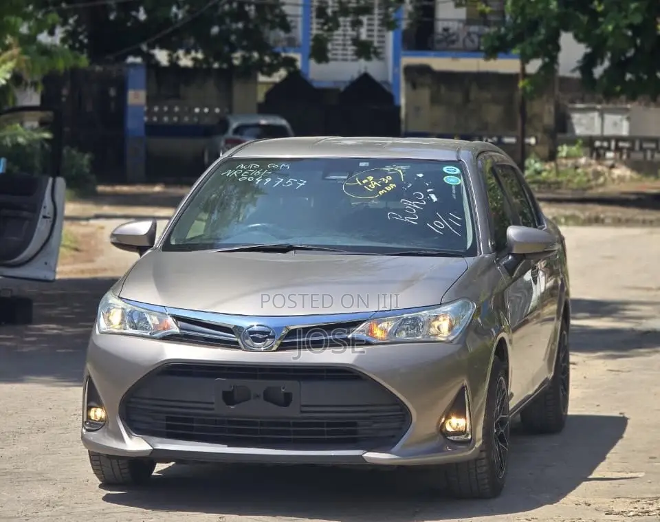 Toyota Axio 2018 Gold