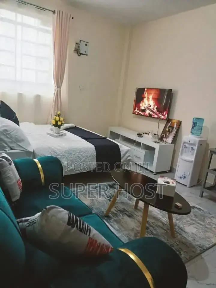 Furnished Studio Airbnb in South B