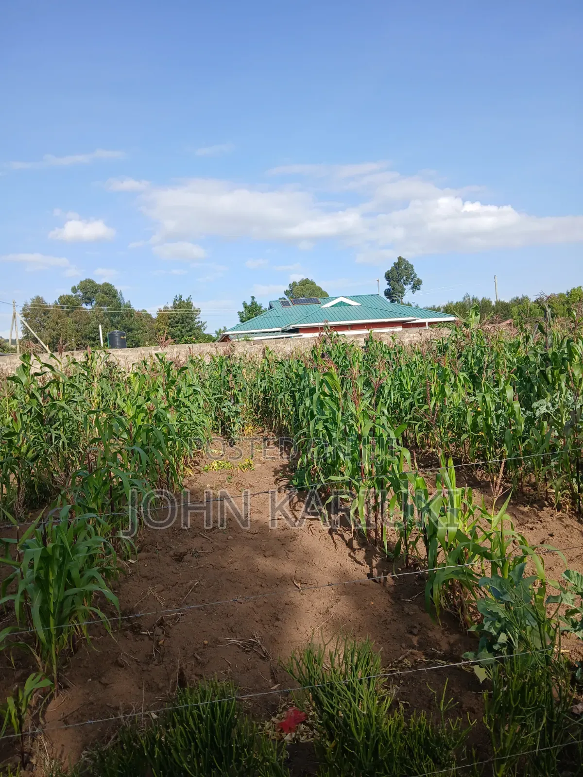 50x100 Plots in Naivasha Karai Opposite Keroche Entrance One Kilometre