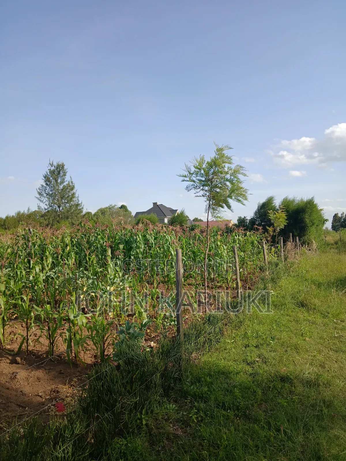 50x100 Plots in Naivasha Karai Opposite Keroche Entrance One Kilometre