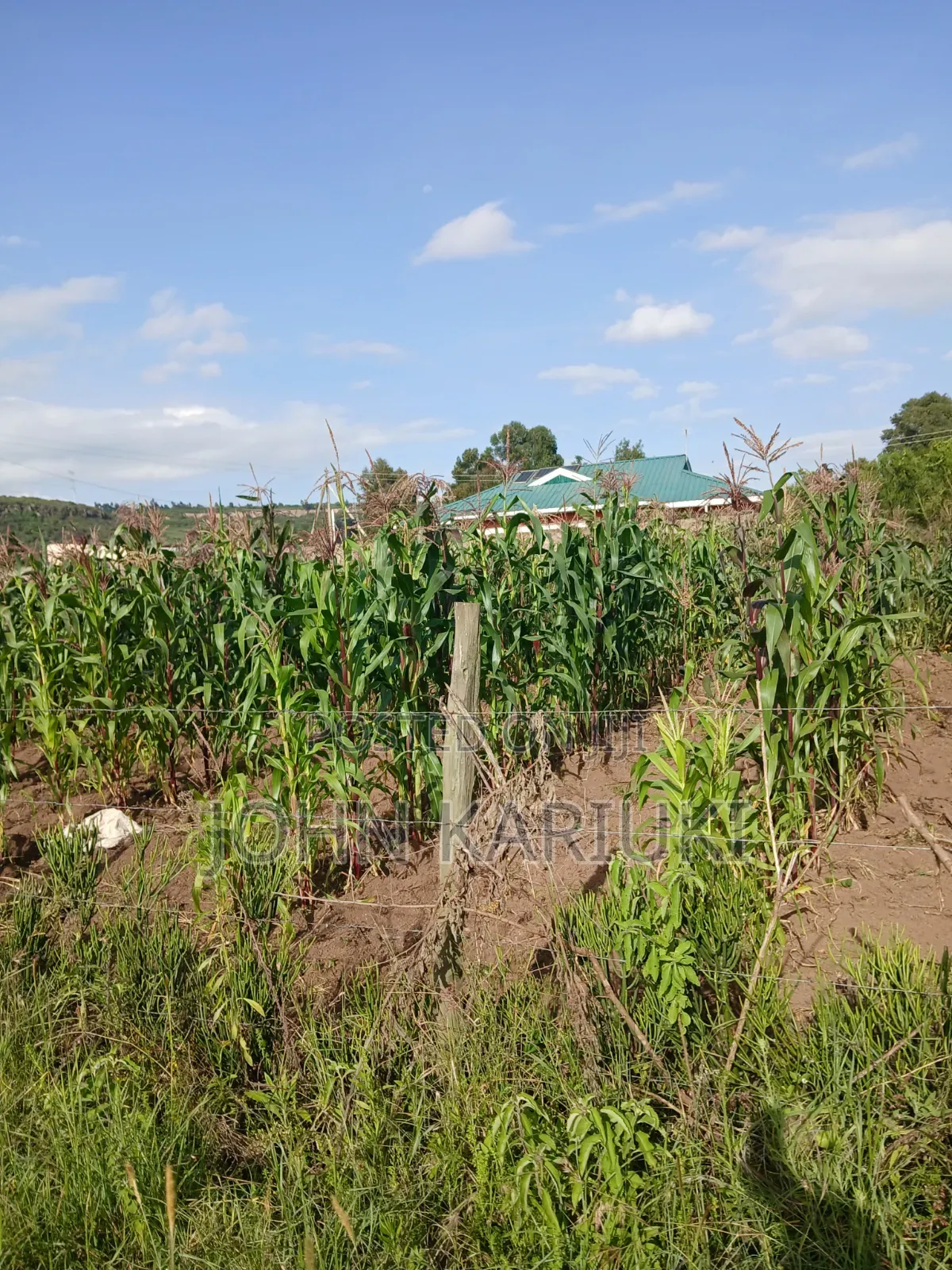 50x100 Plots in Naivasha Karai Opposite Keroche Entrance One Kilometre
