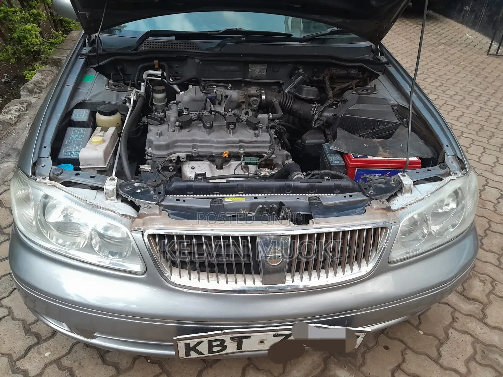 Nissan Bluebird 2004 Gray