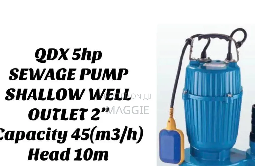 QDX 5hp Sewage Pump Available