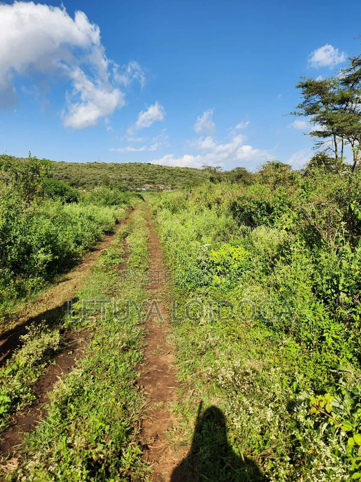 Affordable 1⁄8acre Plots Ngong-Kimuka