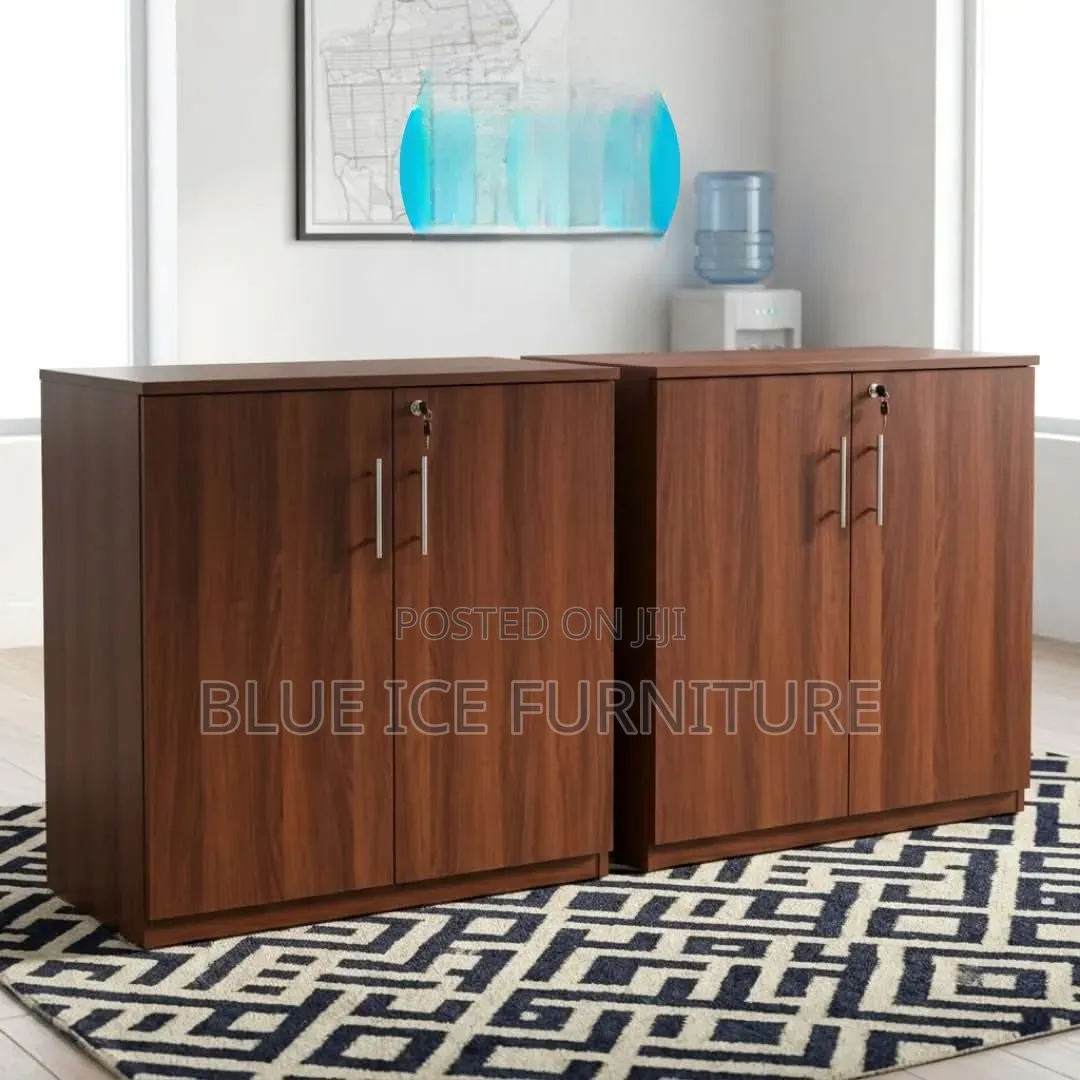 2 Door Locking Cabinet