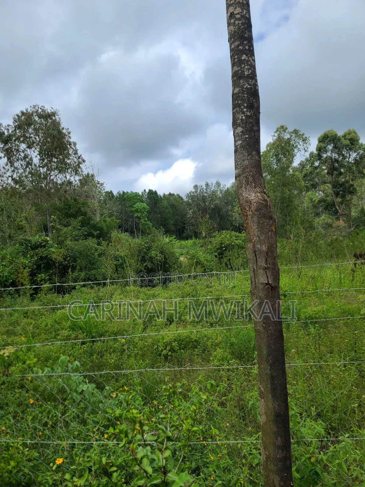 Mua Hills an Acre From as Low as 4.5m