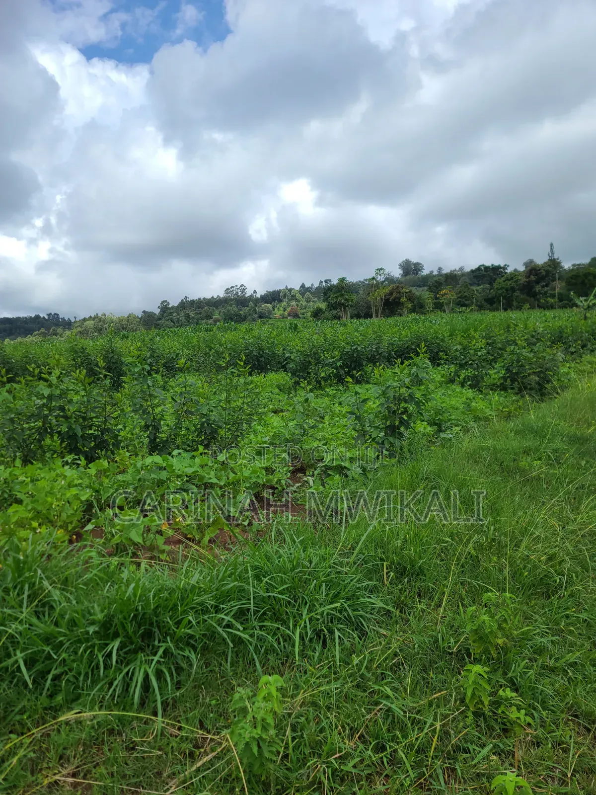 Mua Hills an Acre From as Low as 4.5m
