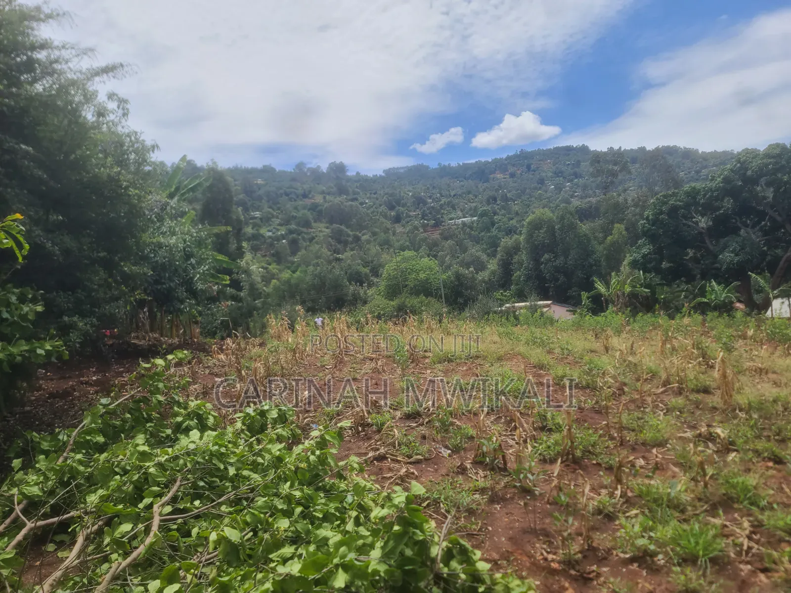 Mua Hills an Acre From as Low as 4.5m
