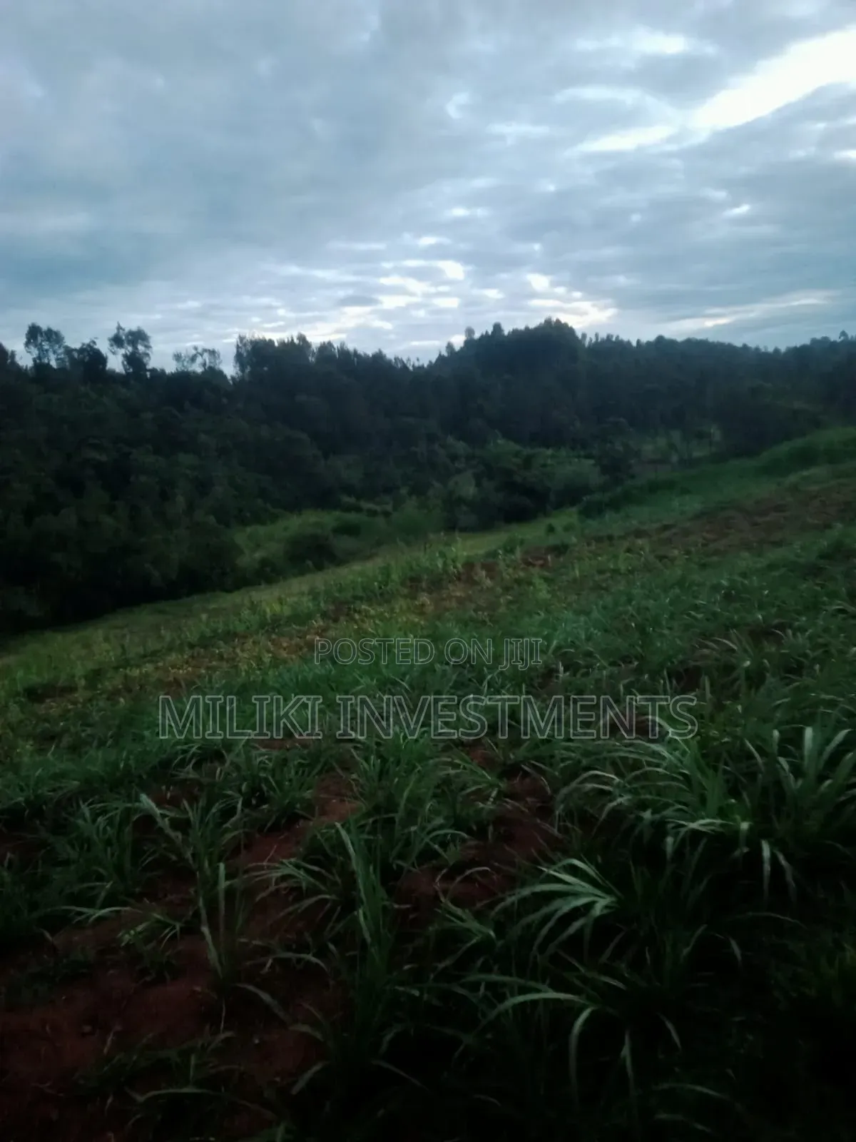 4 Acres on Sale-Kiharu