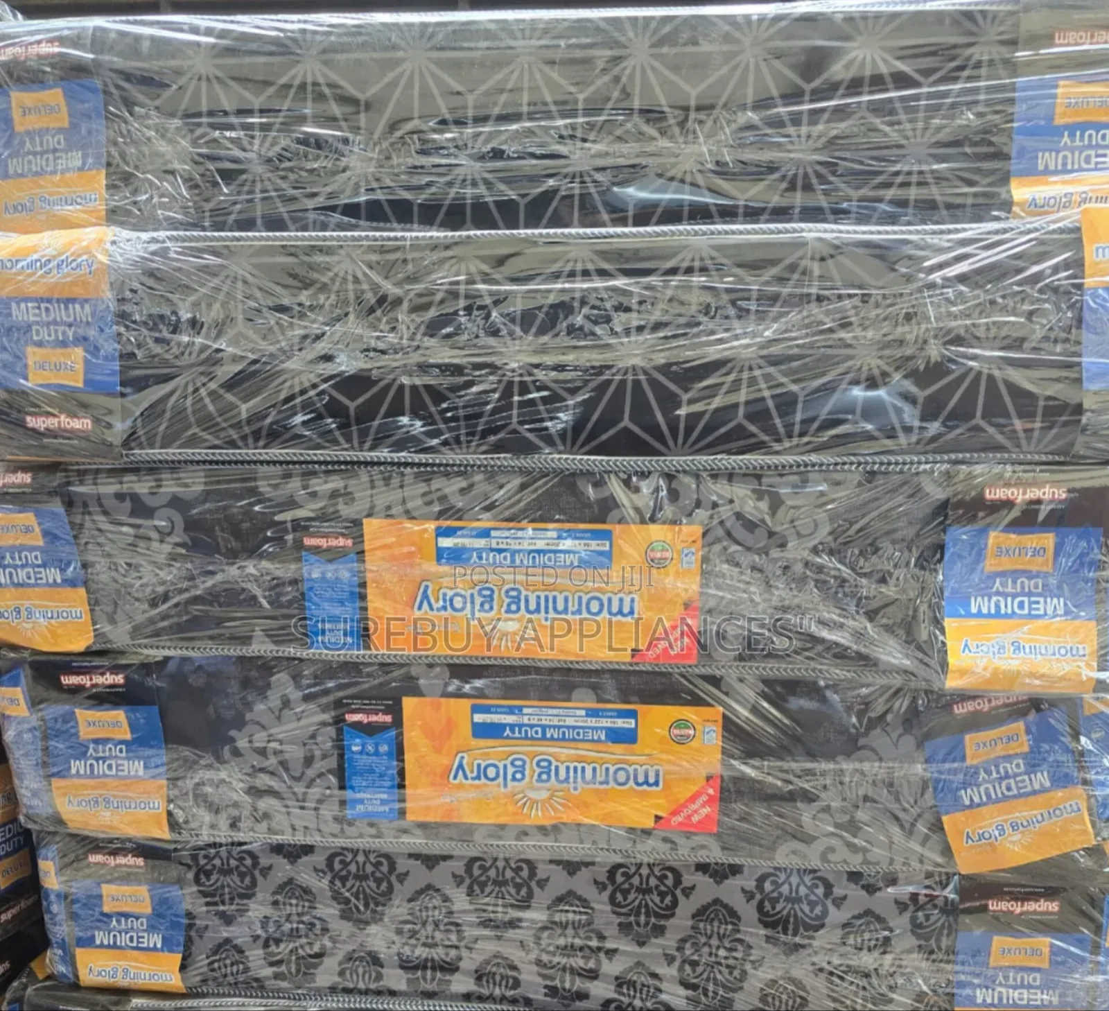 6by6 10inches Morning Glory Plain Mattress