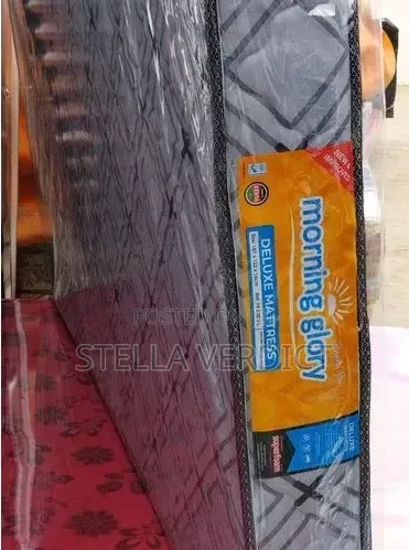 Morning Glory 6 Inches Destiny Plain Matress 4*6