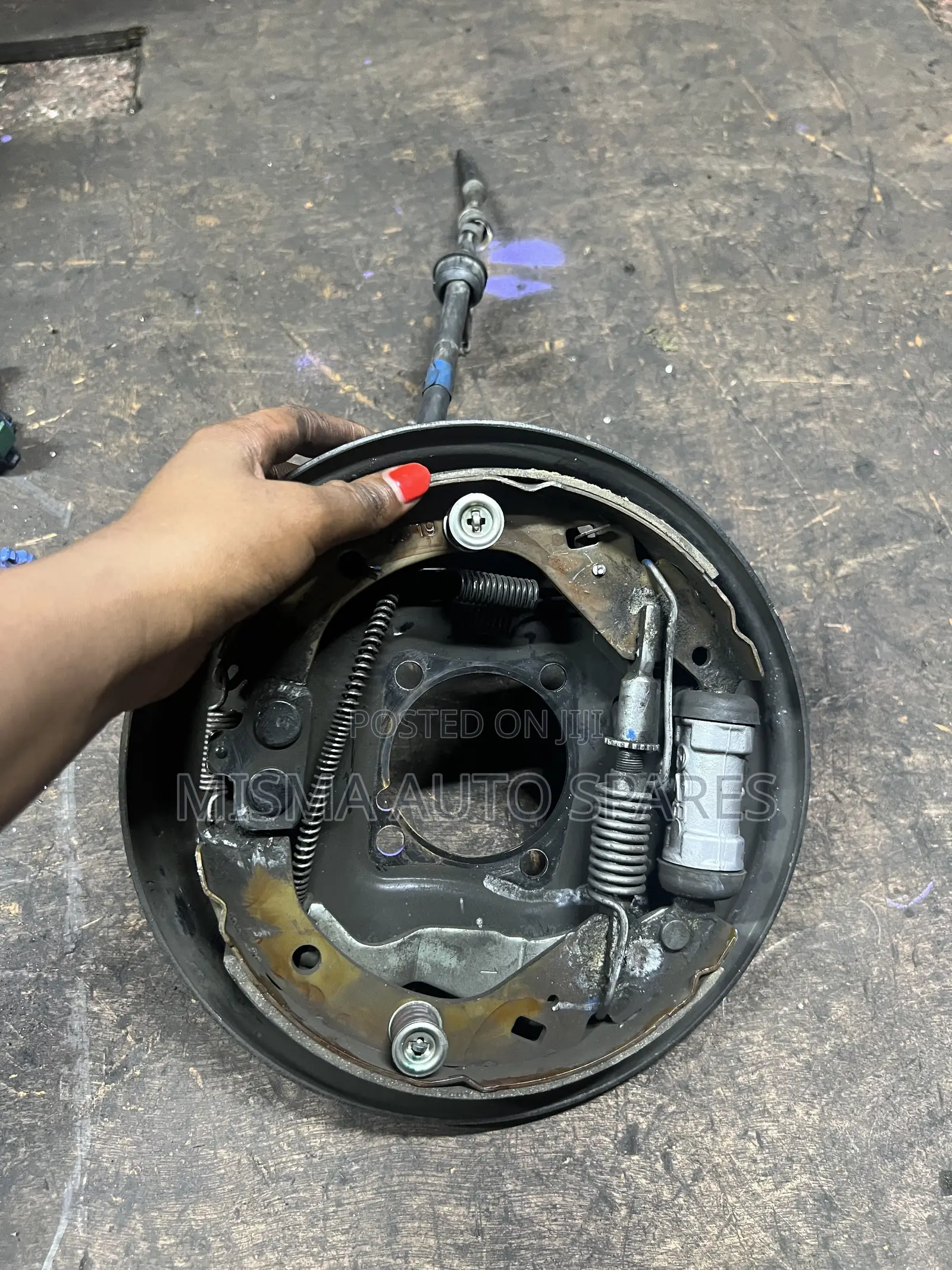 Backplate Complete for Probox