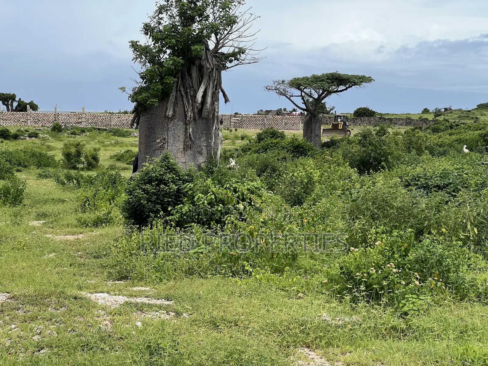 2 Acres Beach Front in Malindi, Kilifi for Sale