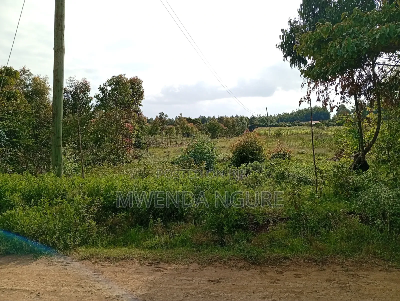 Land for Sale in Limuru