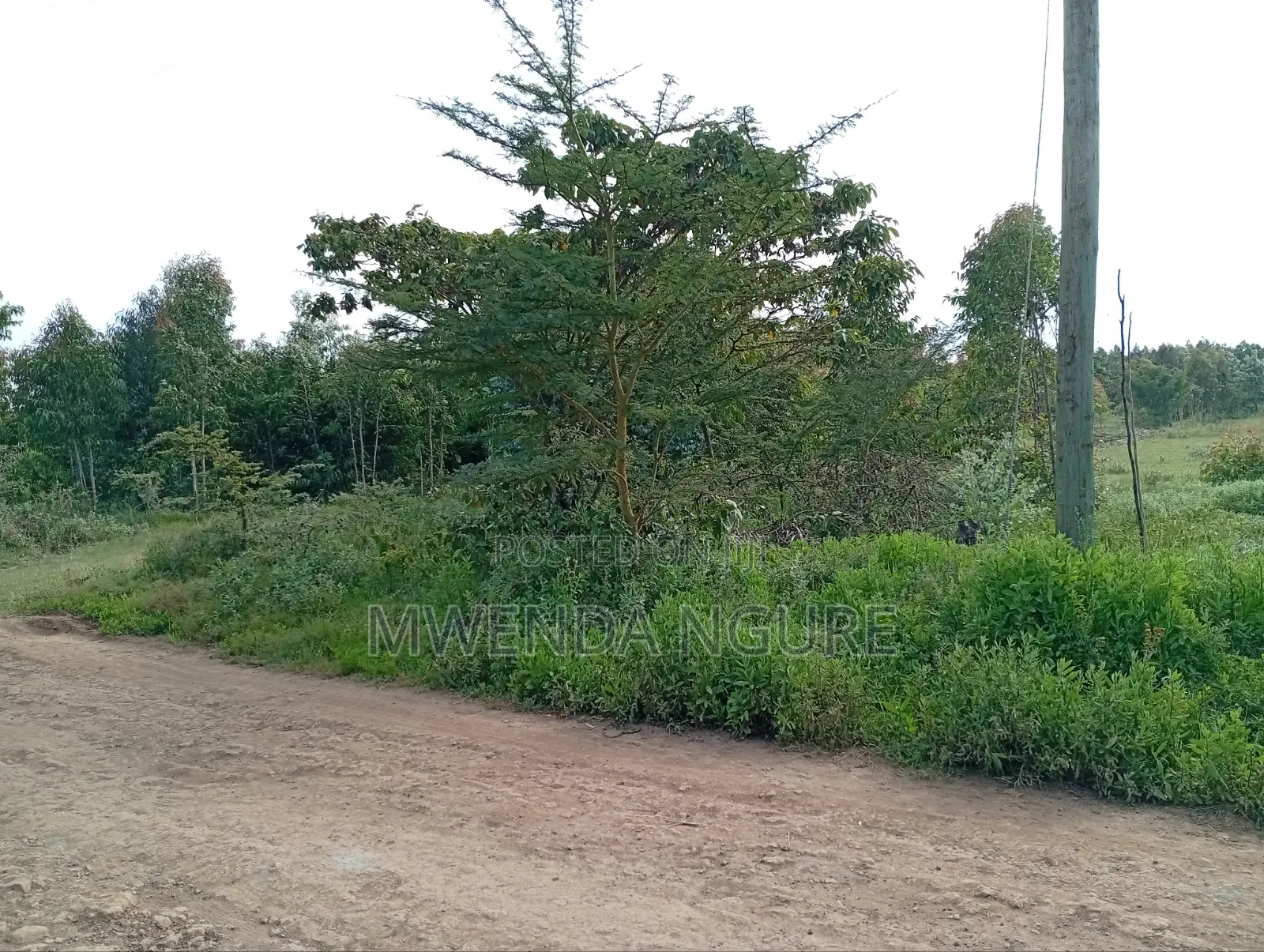 Land for Sale in Limuru