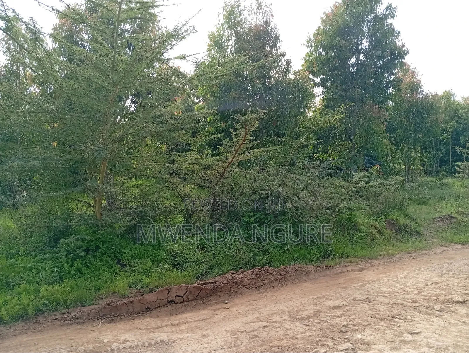 Land for Sale in Limuru