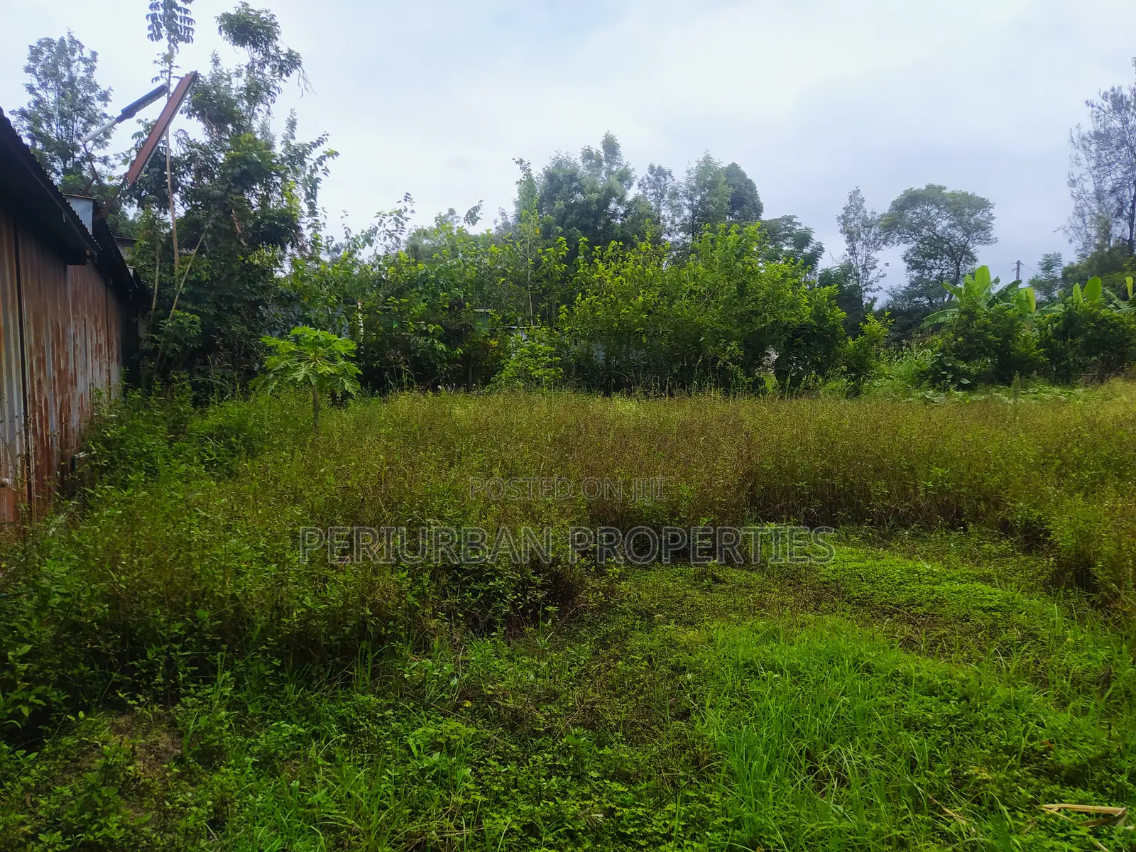 Prime 1/4 Acre Plot of Land in the Grown Rimpa Town!!