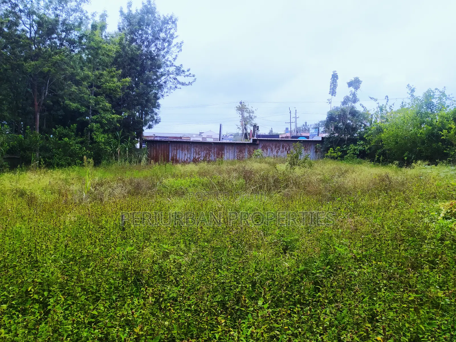 Prime 1/4 Acre Plot of Land in the Grown Rimpa Town!!