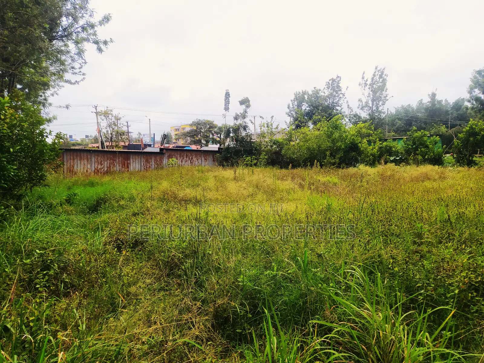Prime 1/4 Acre Plot of Land in the Grown Rimpa Town!!