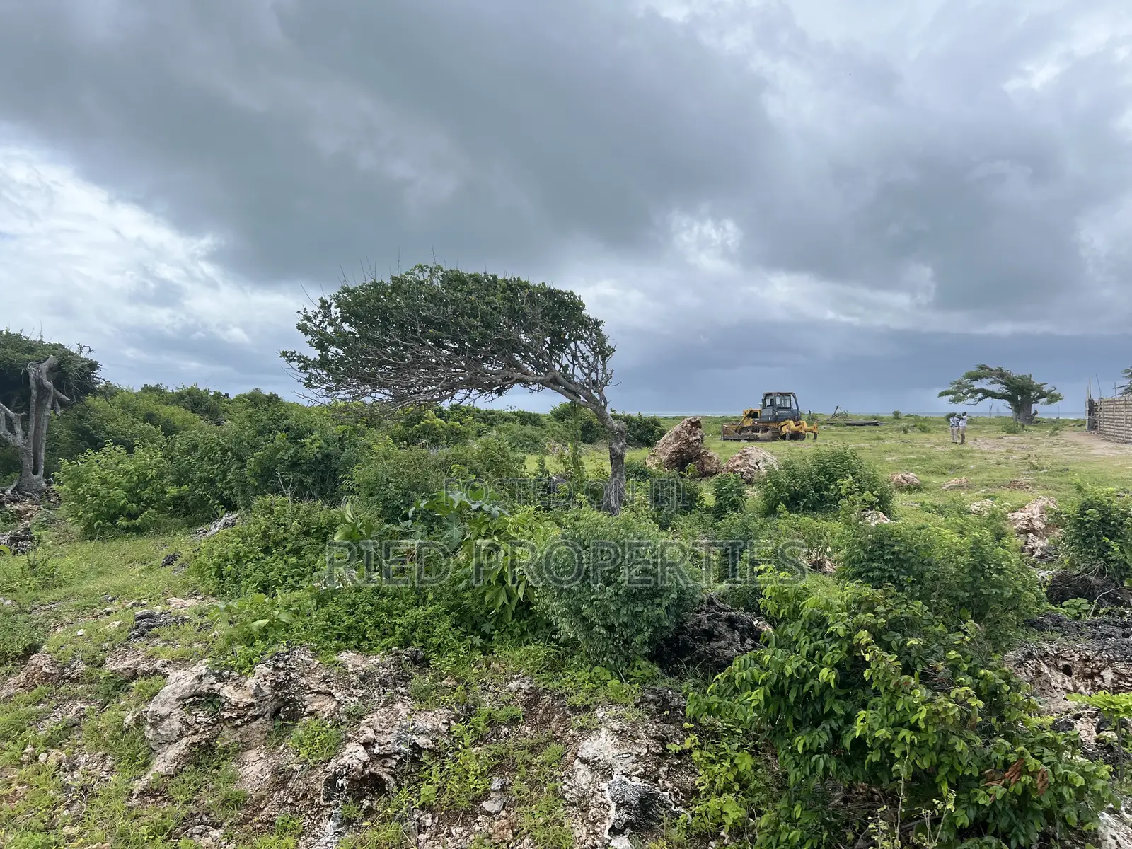 Two 1/2 Acre Beachplots in Malindi Kilifi for Sale