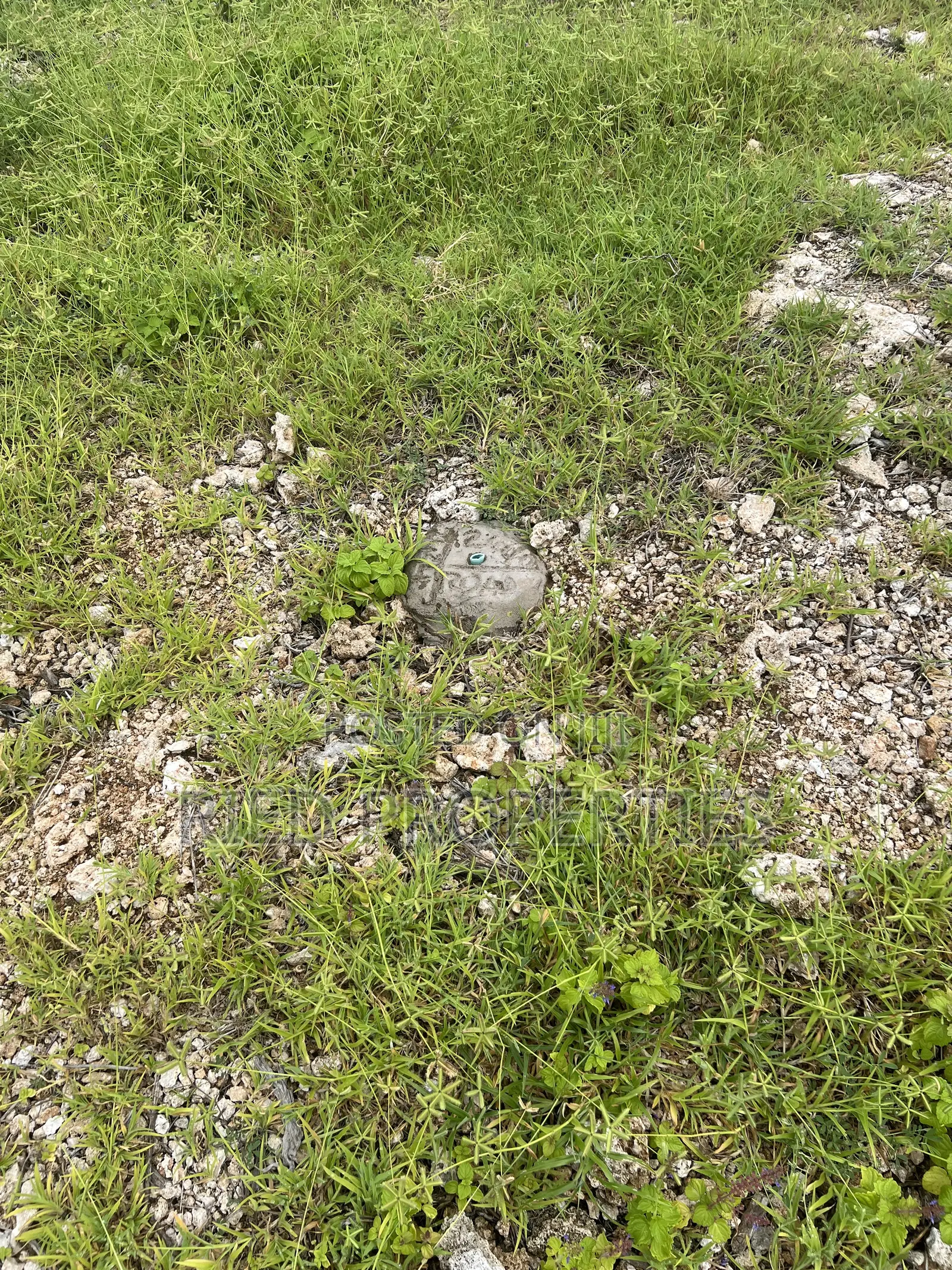 Two 1/2 Acre Beachplots in Malindi Kilifi for Sale
